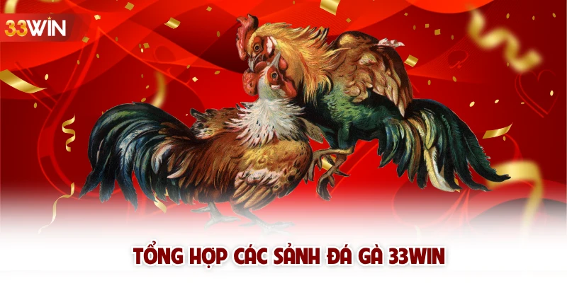 Tổng hợp các sảnh đá gà 33win 